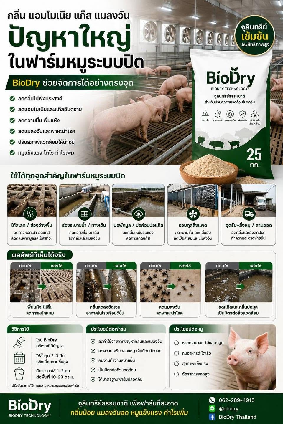 กลิ่น แอมโมเนีย ความชื้น และแมลงวัน ปัญหาใหญ่ที่ฟาร์มหมูระบบปิดต้องจัดการ